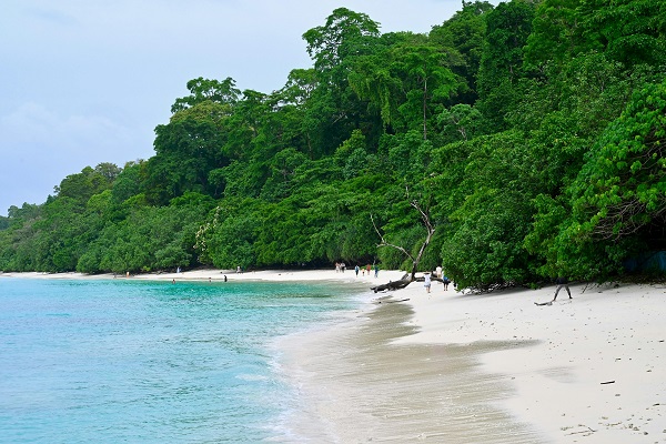 The Beauty of Andaman Islands